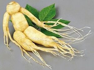 raíz de ginseng para la potencia