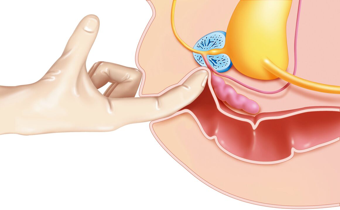 Estimulación del punto G en hombres