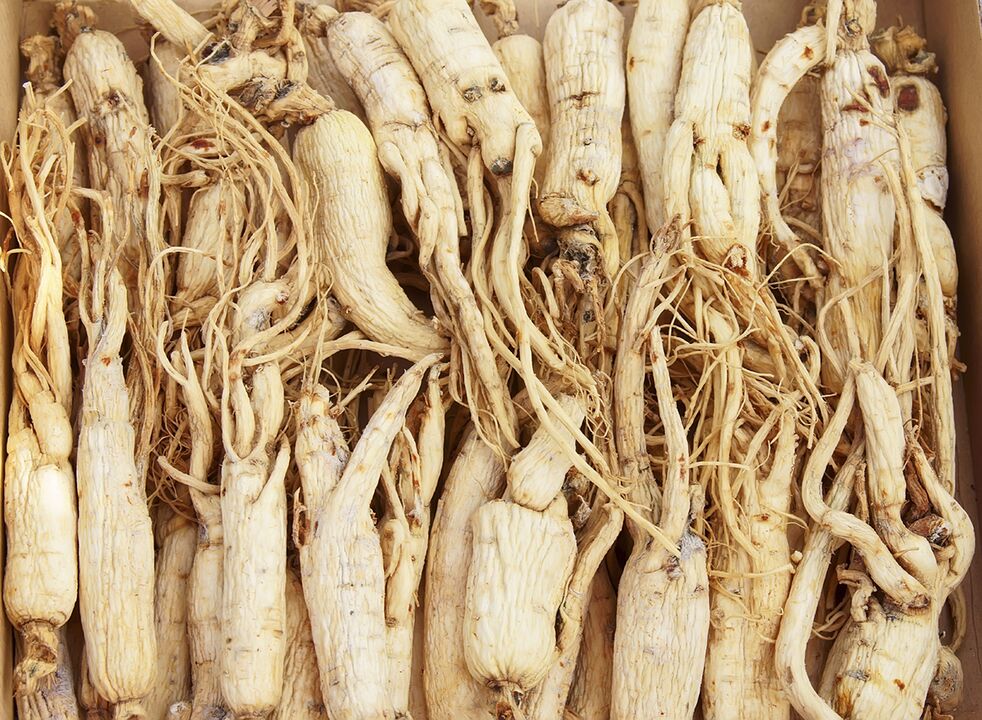 Sobre la base de la raíz de ginseng, puede preparar una decocción para aumentar la potencia. 